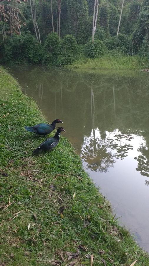 Casa De Campo Rosa Dos Ventos Rodeio Kültér fotó